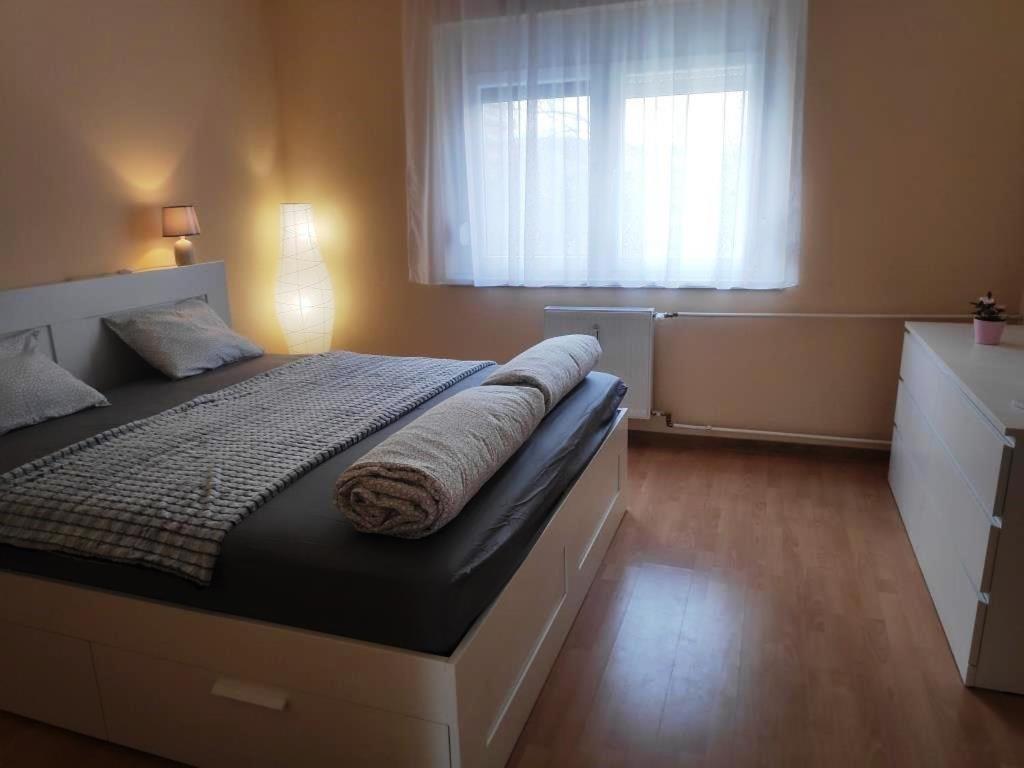 Szekszárd Koelcsey Apartman 아파트 외부 사진